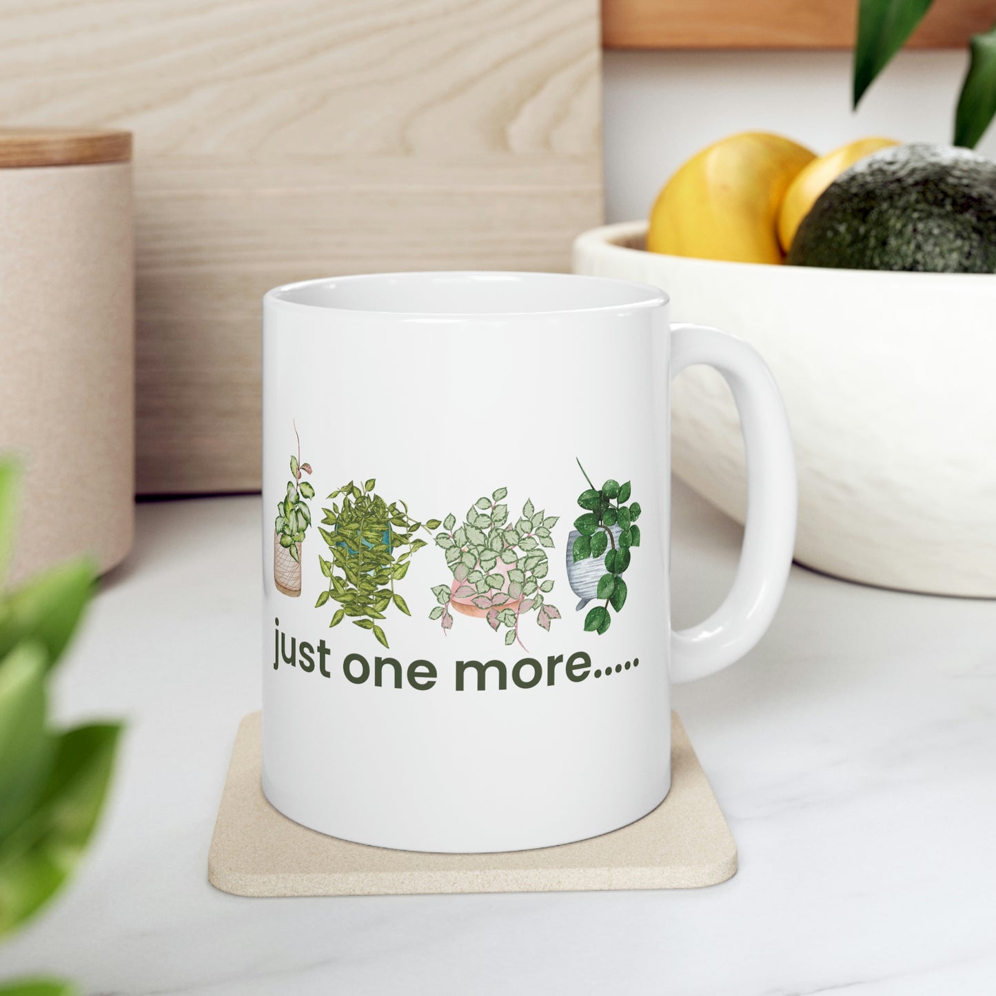 HOYAHOLIC DICTIONARY DEFINITION MUG 11oz